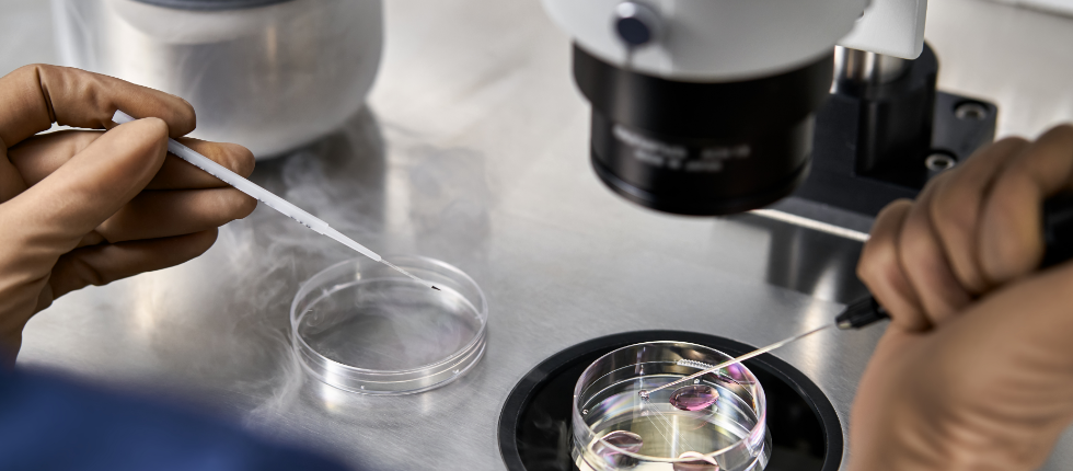 Sistemas In Vitro  